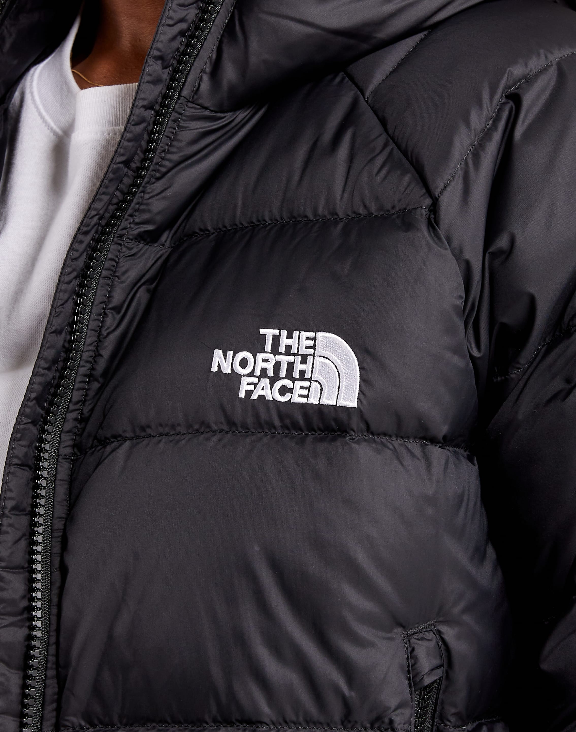 dtlr.com is where to buy