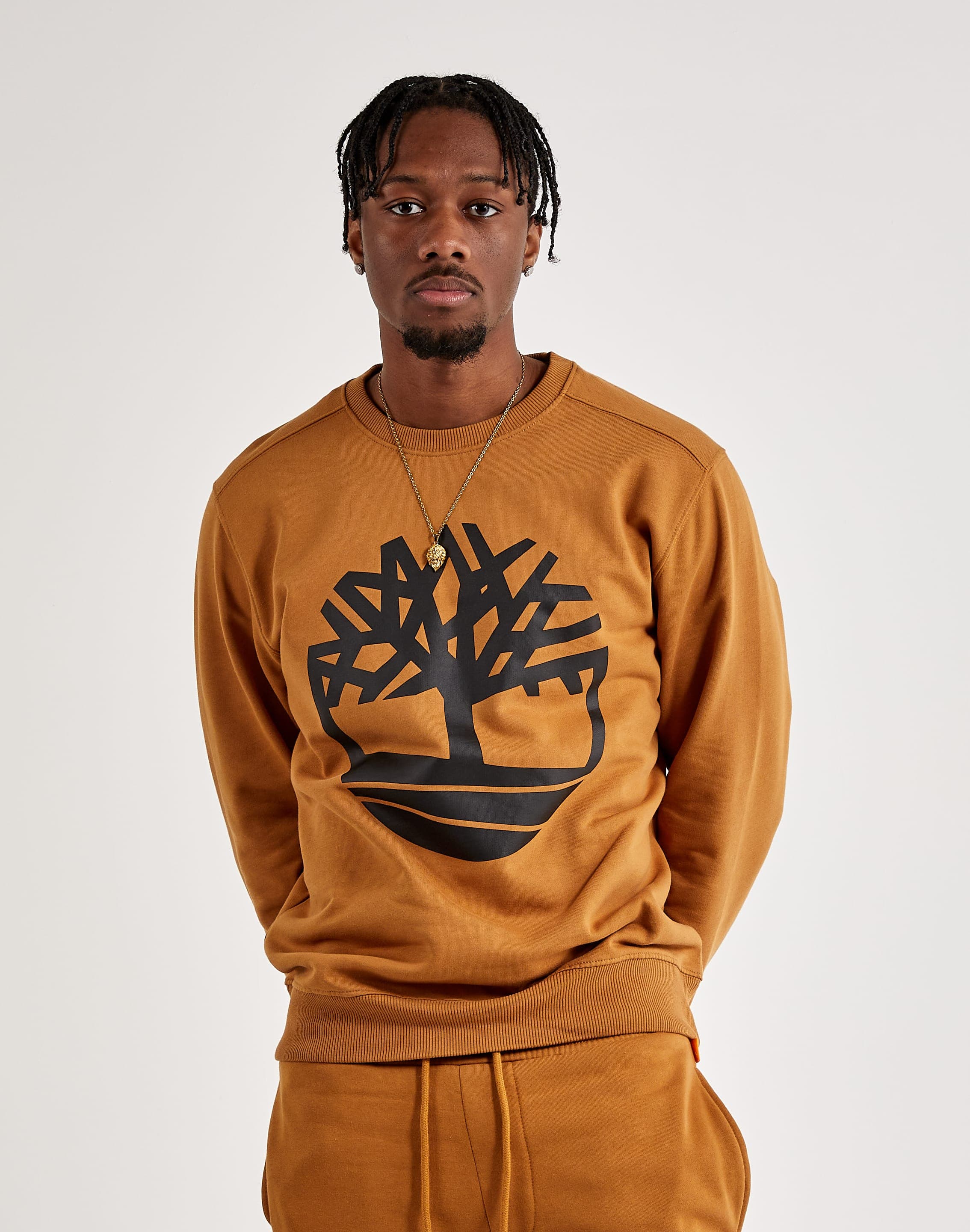 dtlr.com is where to buy