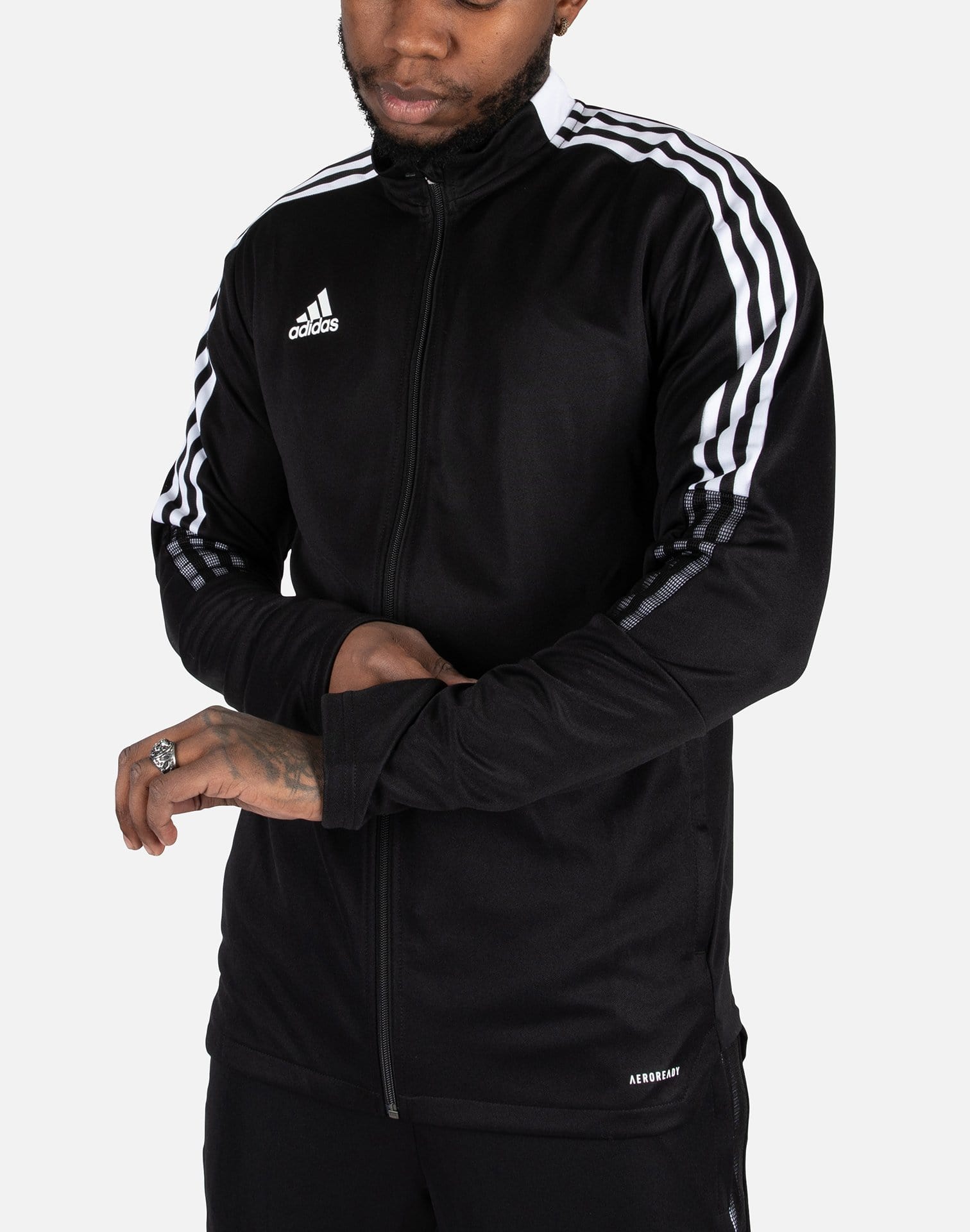 dtlr.com is where to buy