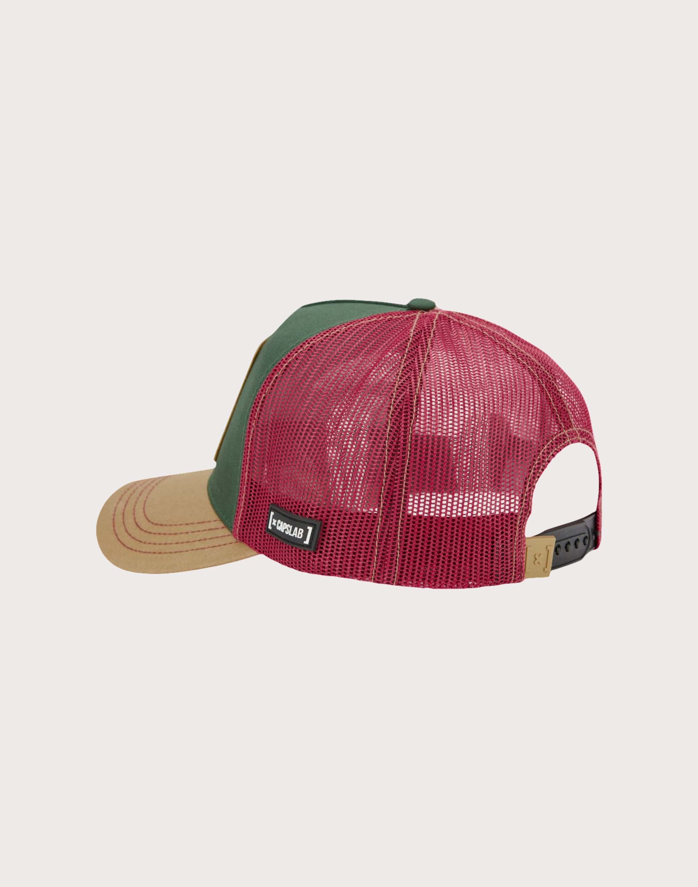 dtlr.com is where to buy