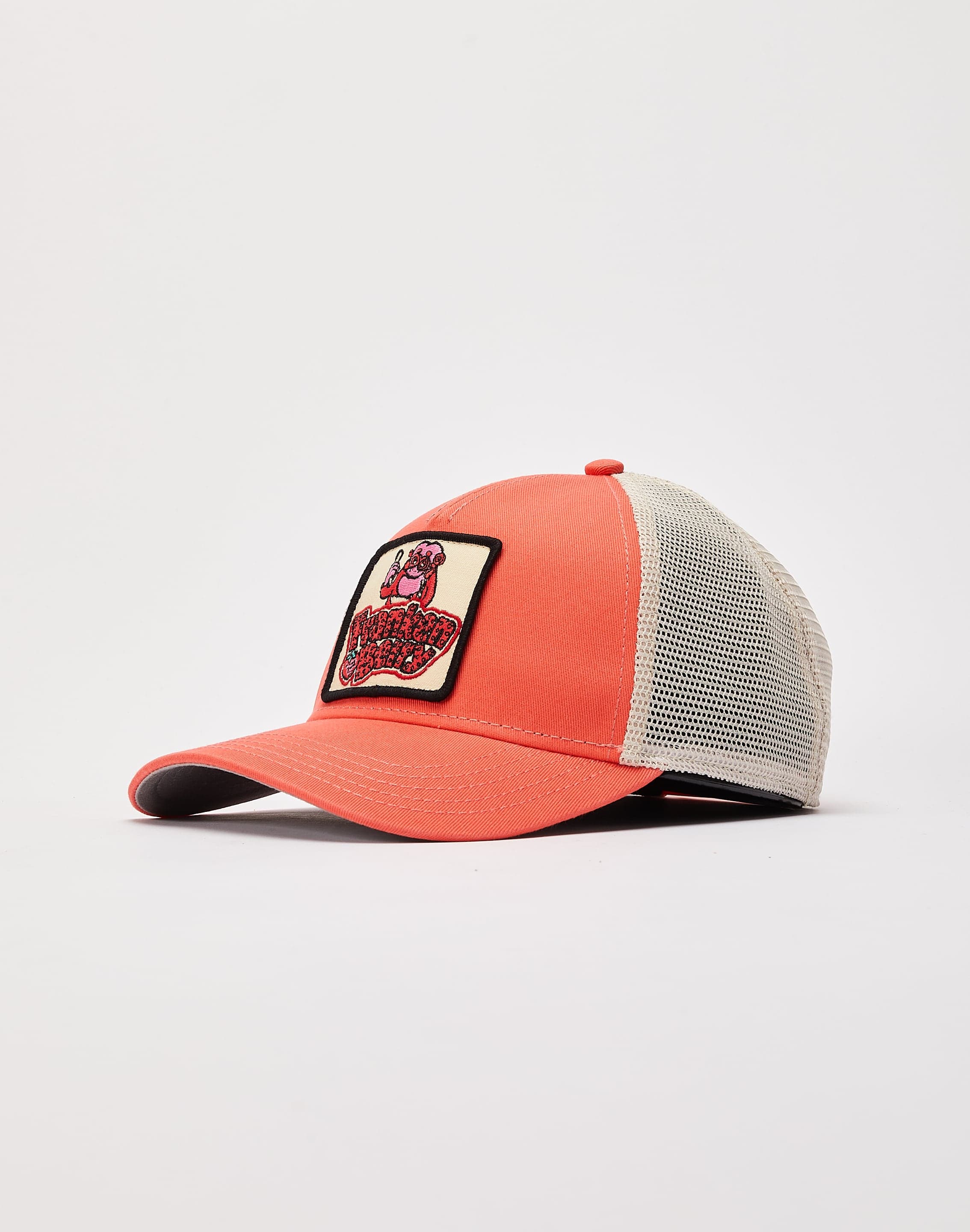 dtlr.com is where to buy