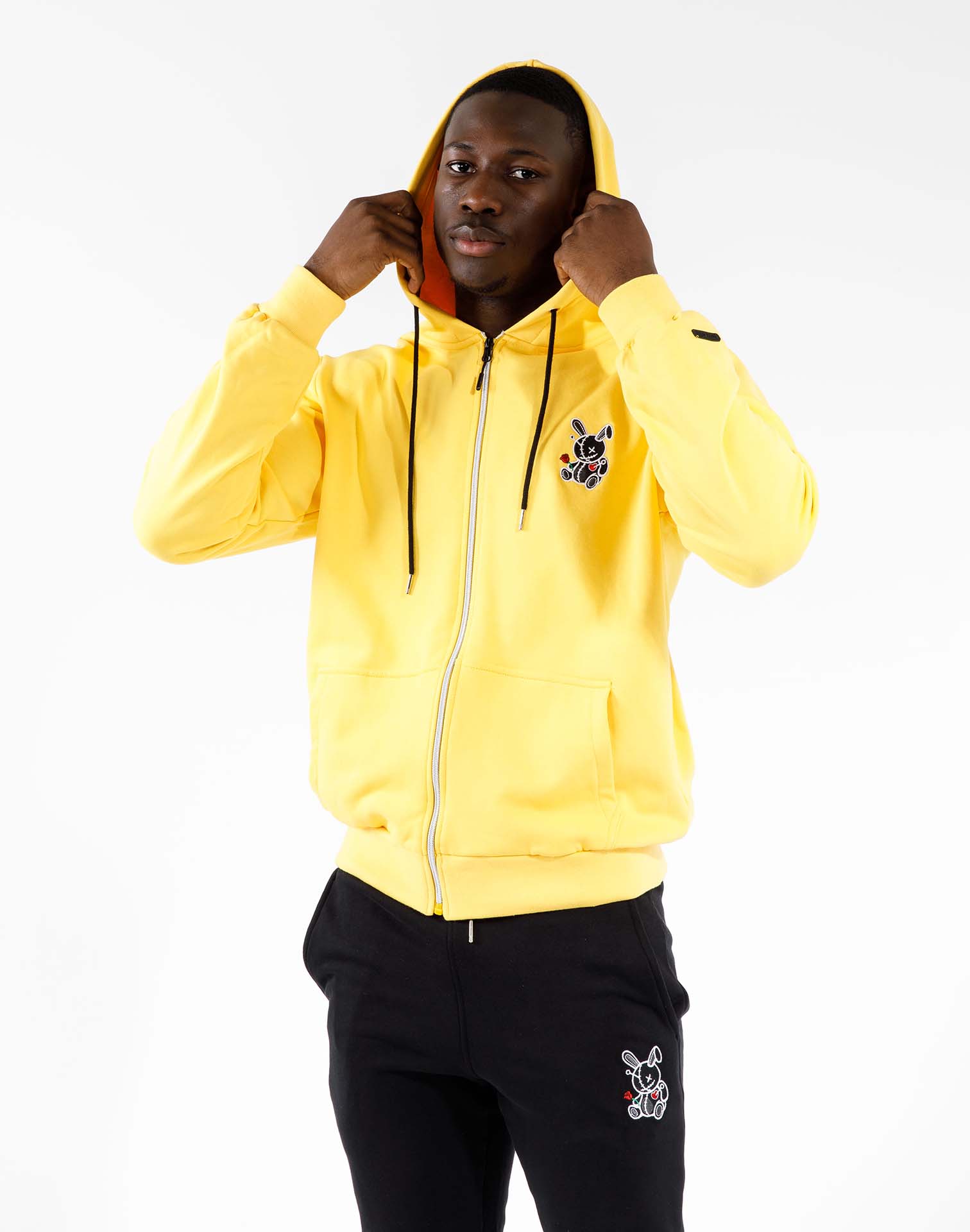 dtlr.com is where to buy
