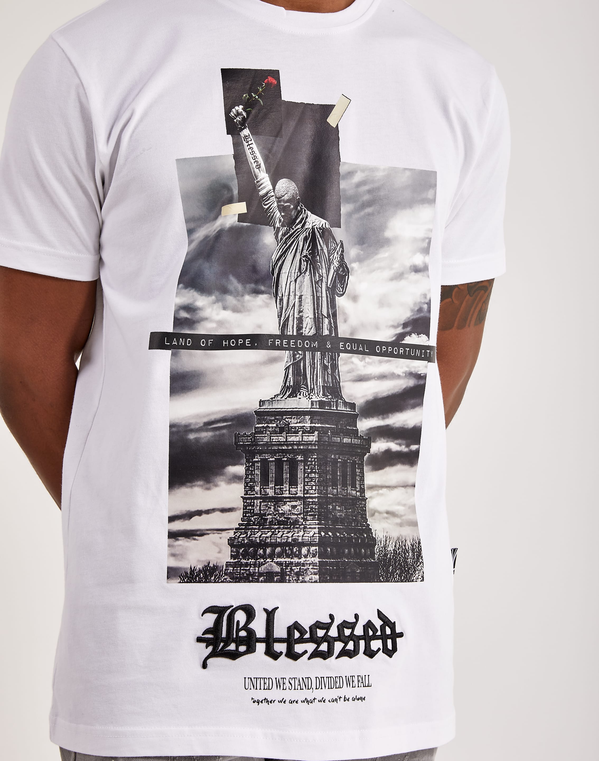 dtlr.com is where to buy