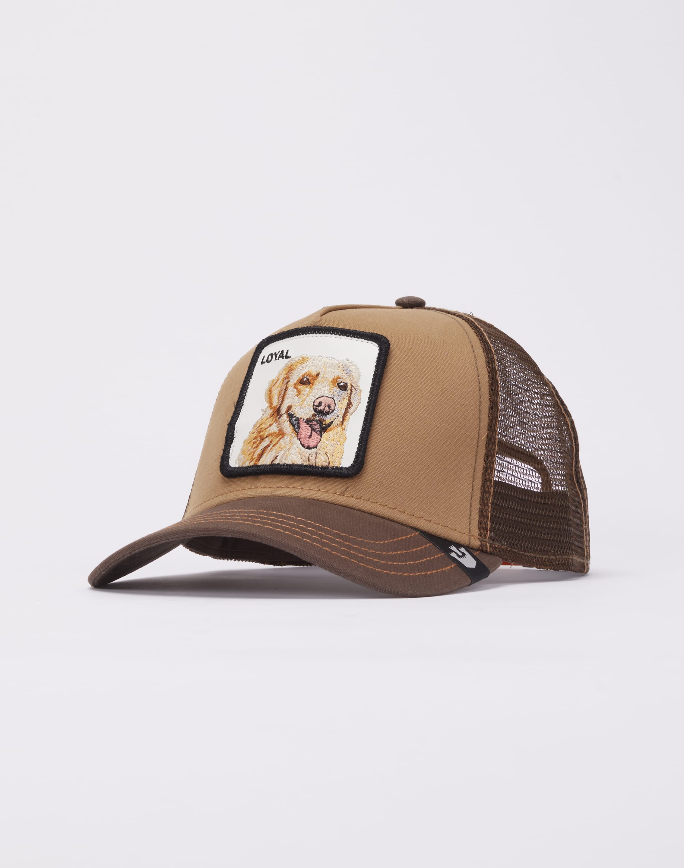 dtlr.com is where to buy