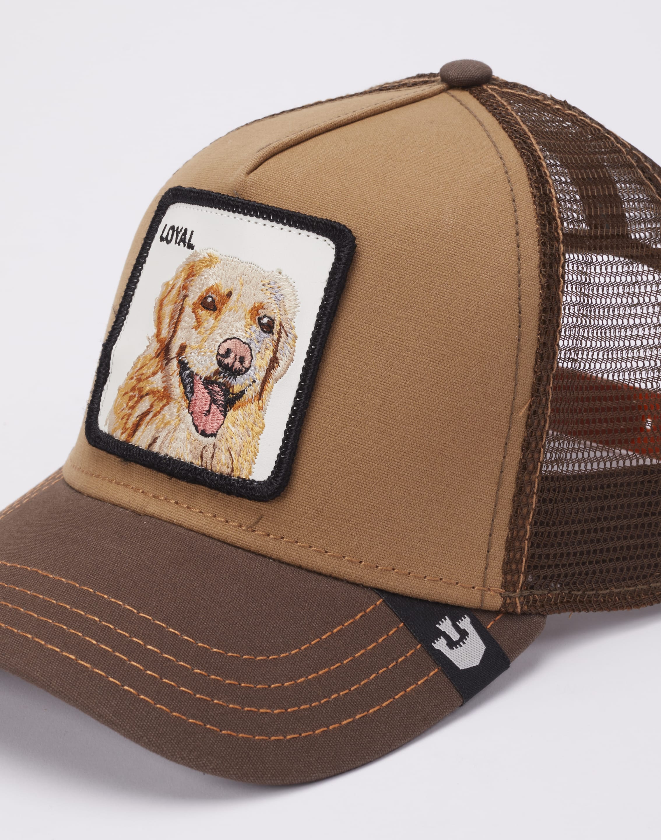 dtlr.com is where to buy