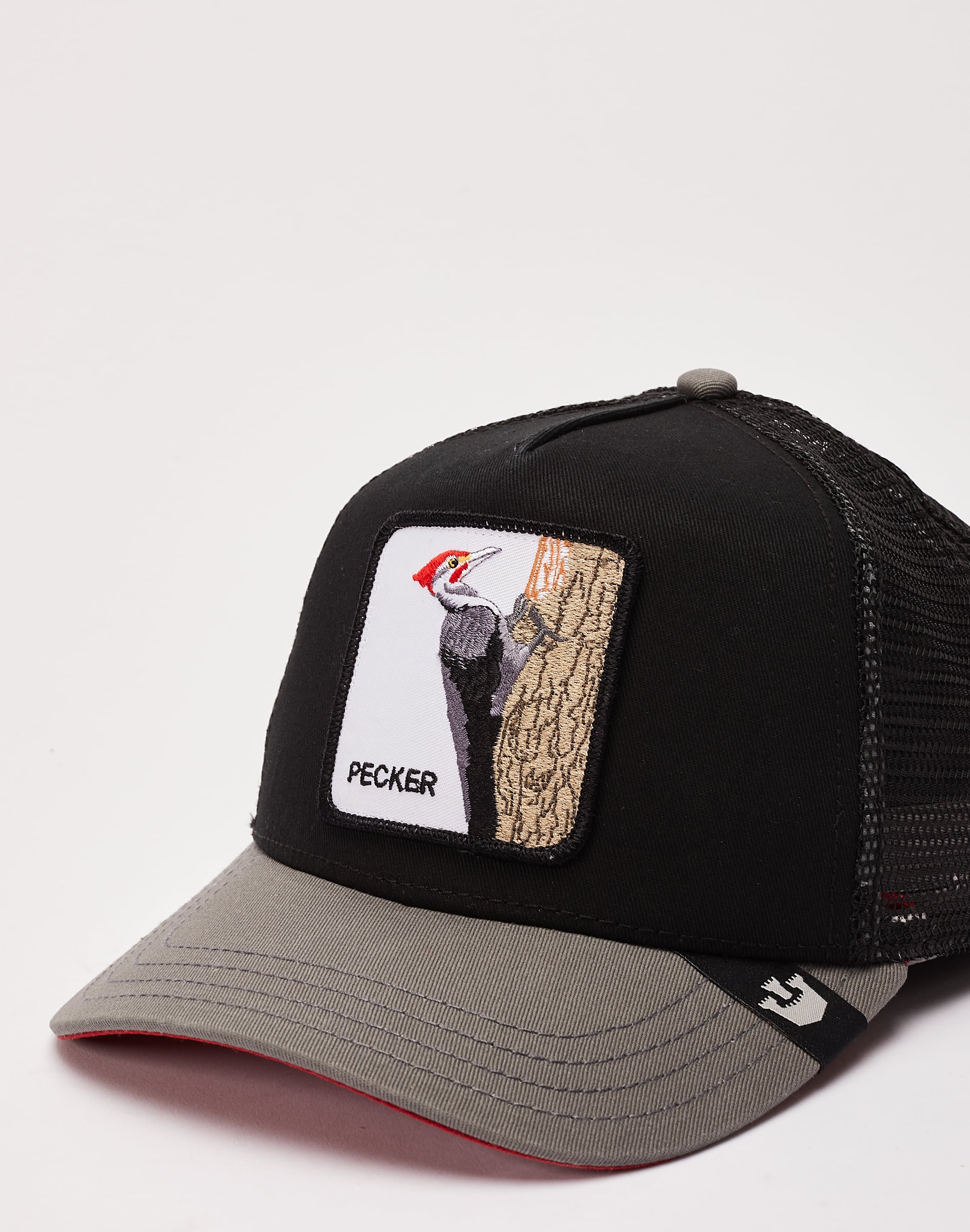 dtlr.com is where to buy