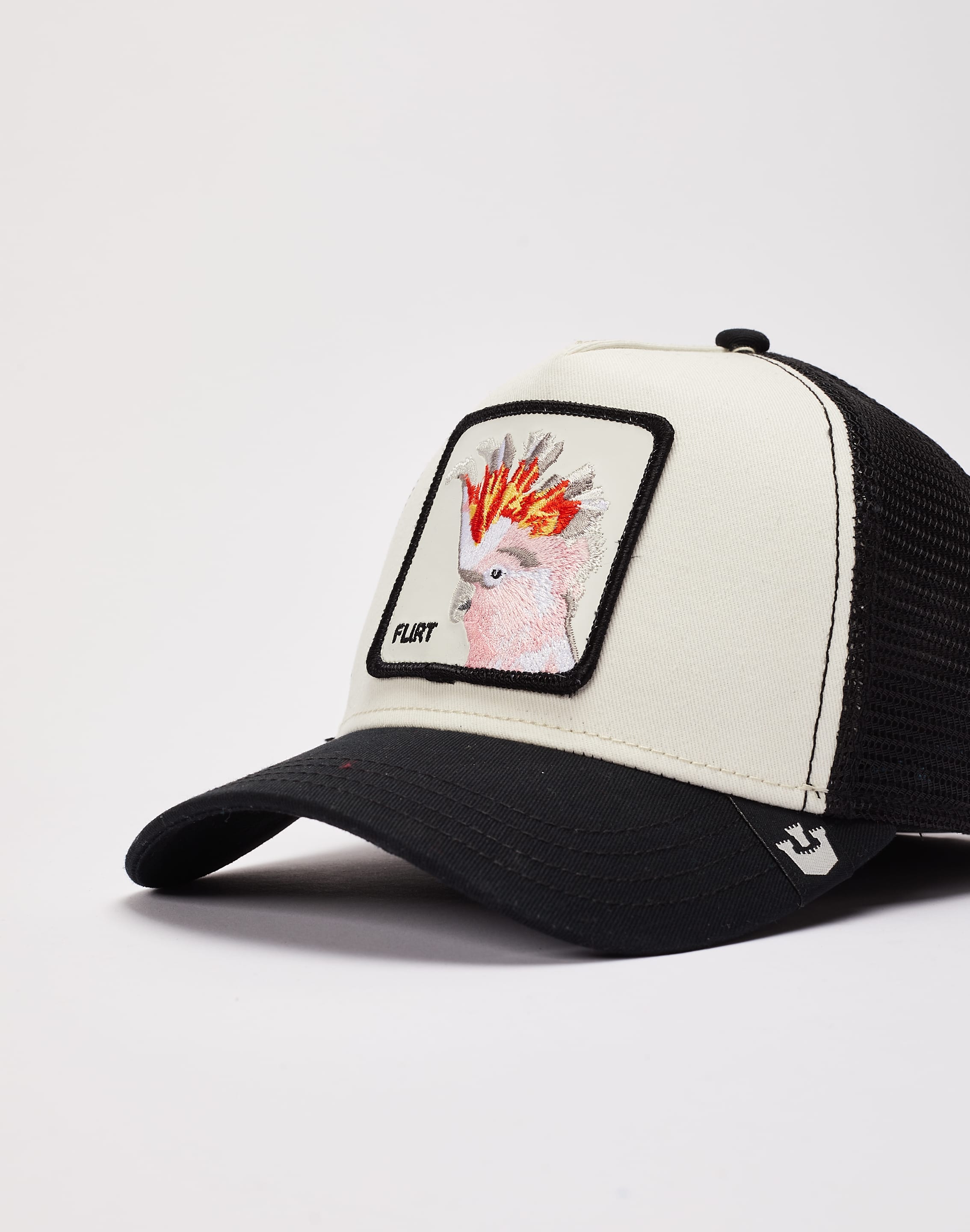 dtlr.com is where to buy