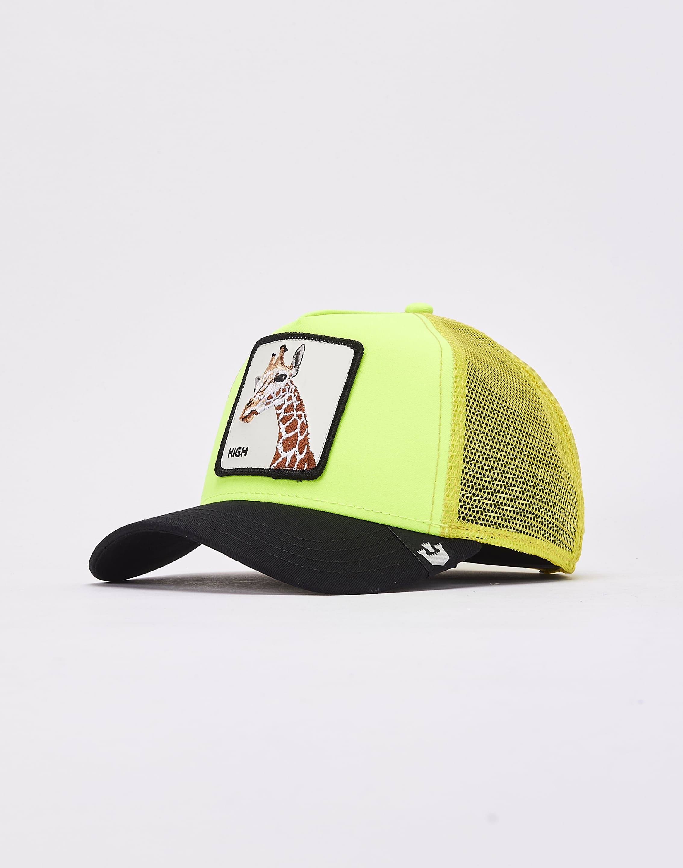 dtlr.com is where to buy
