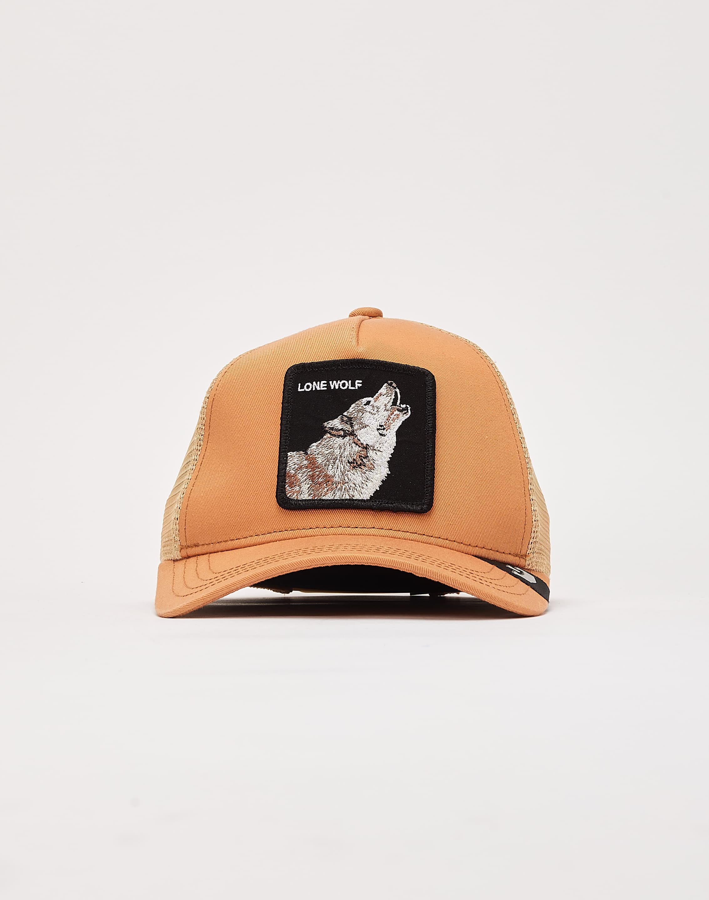 dtlr.com is where to buy