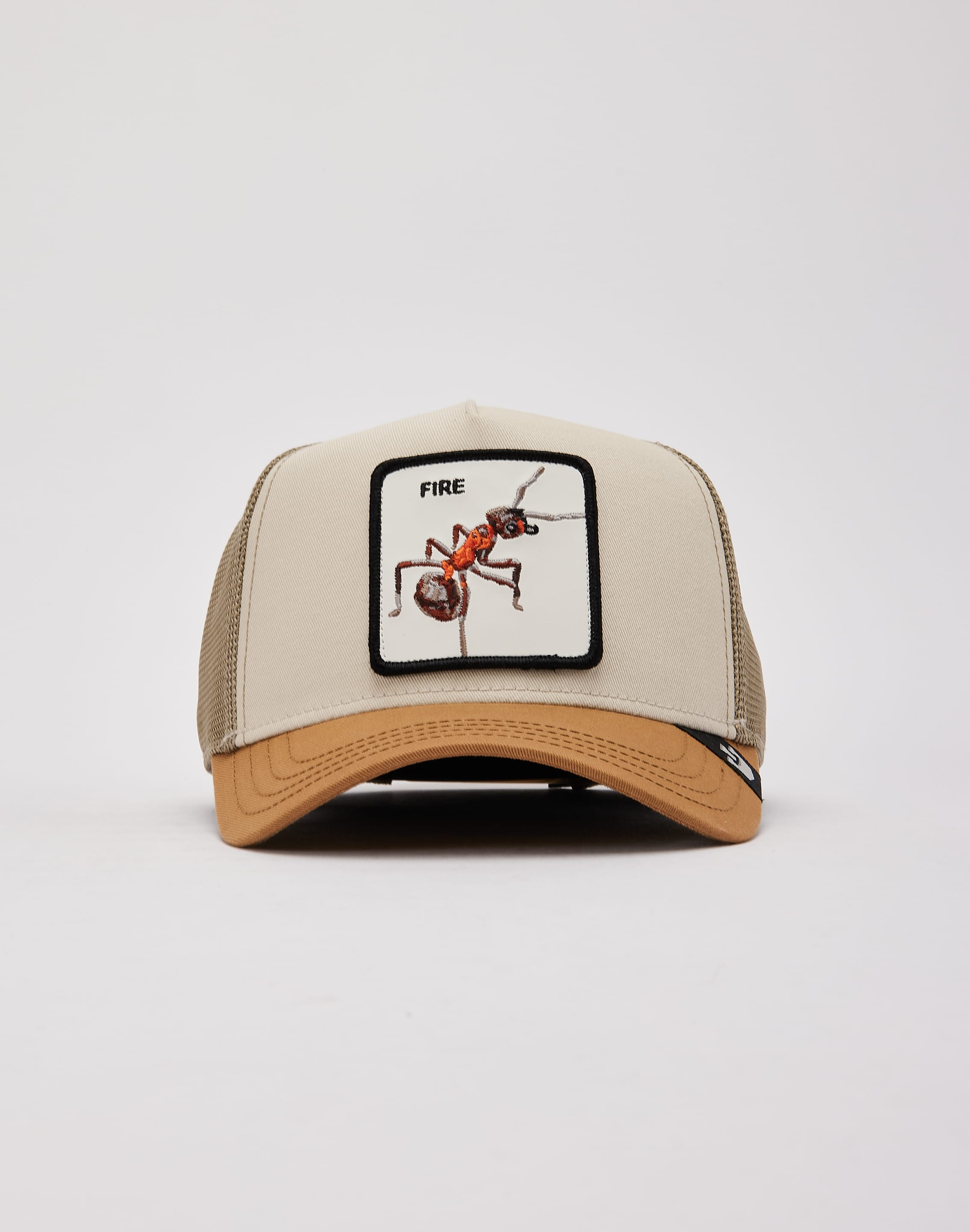 dtlr.com is where to buy
