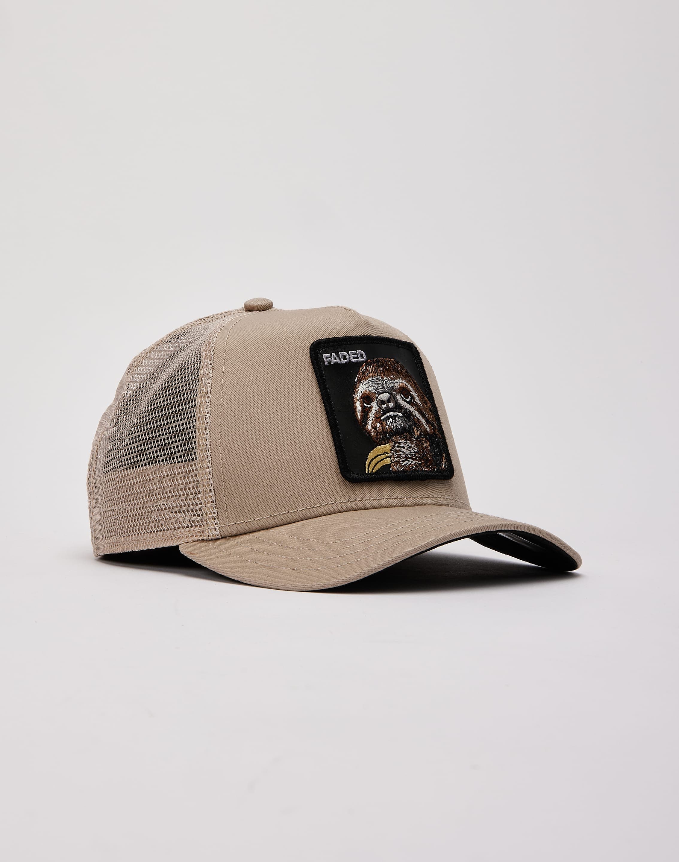 dtlr.com is where to buy