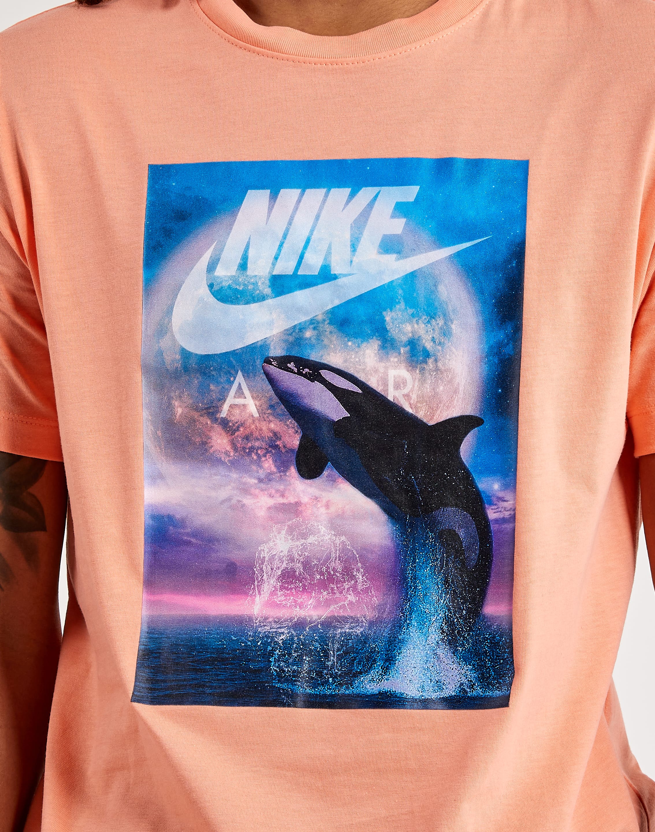 dtlr.com is where to buy