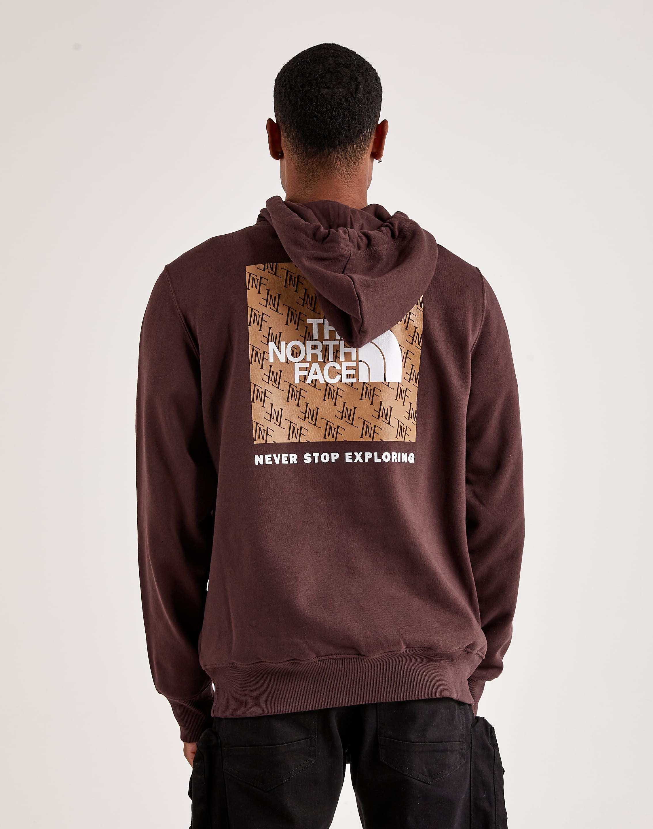 Photo of The North Face Never Stop Exploring Hoodie