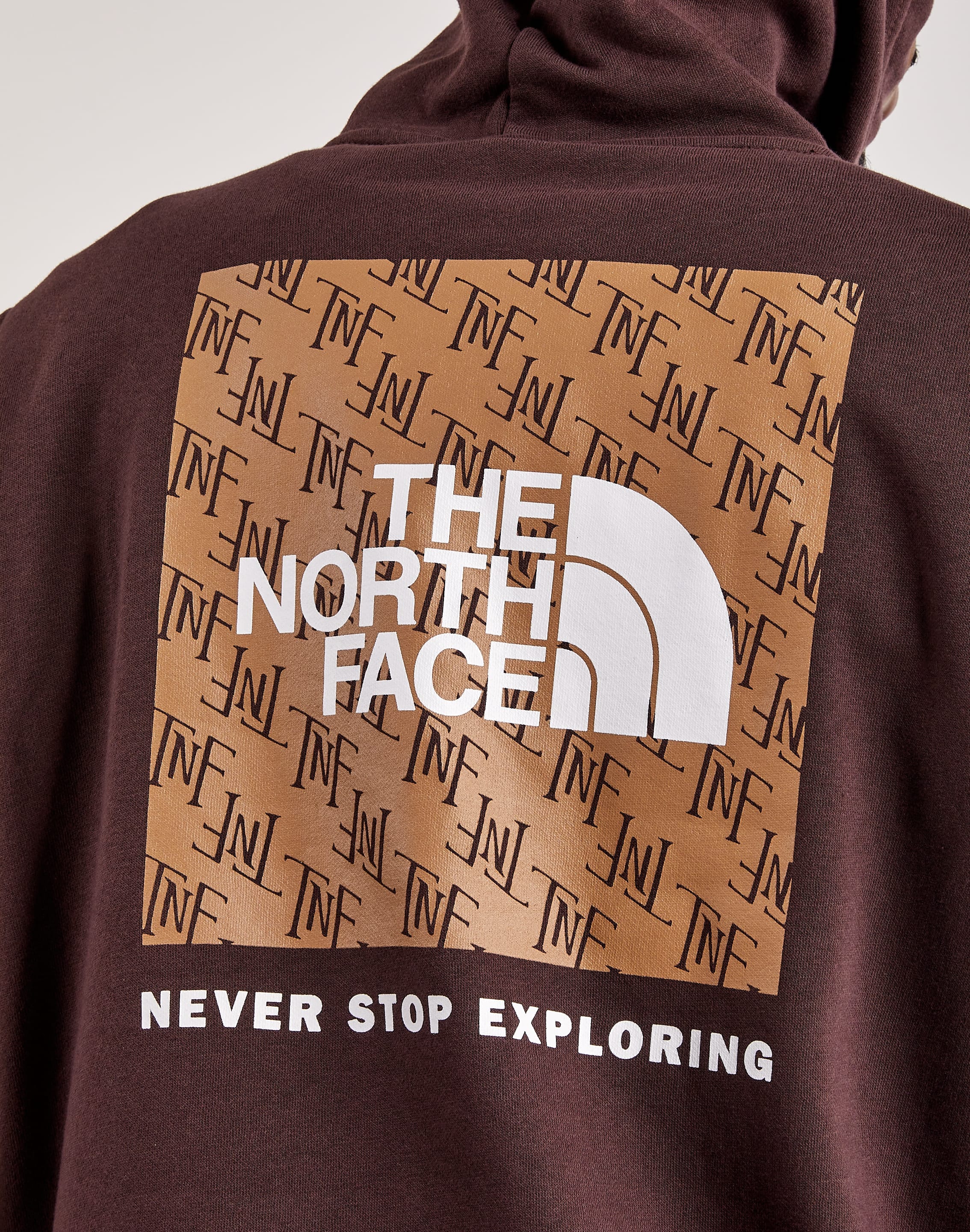 Photo of The North Face Never Stop Exploring Hoodie