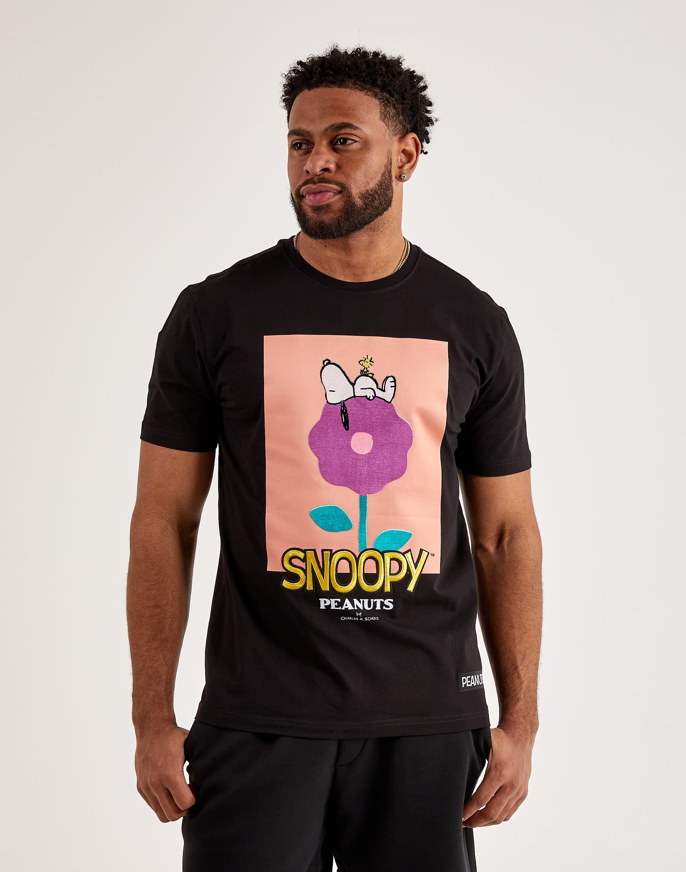 dtlr.com is where to buy