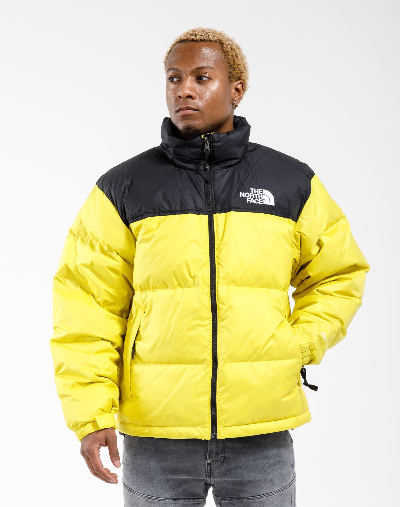 dtlr.com is where to buy