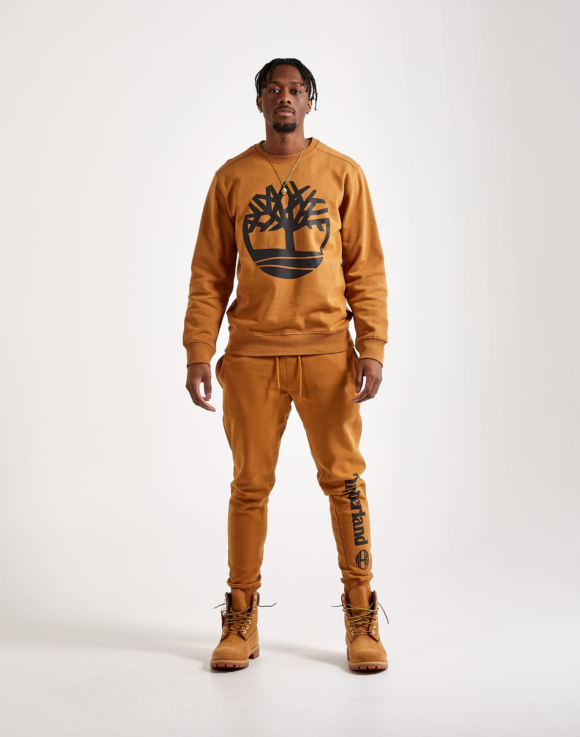 dtlr.com is where to buy