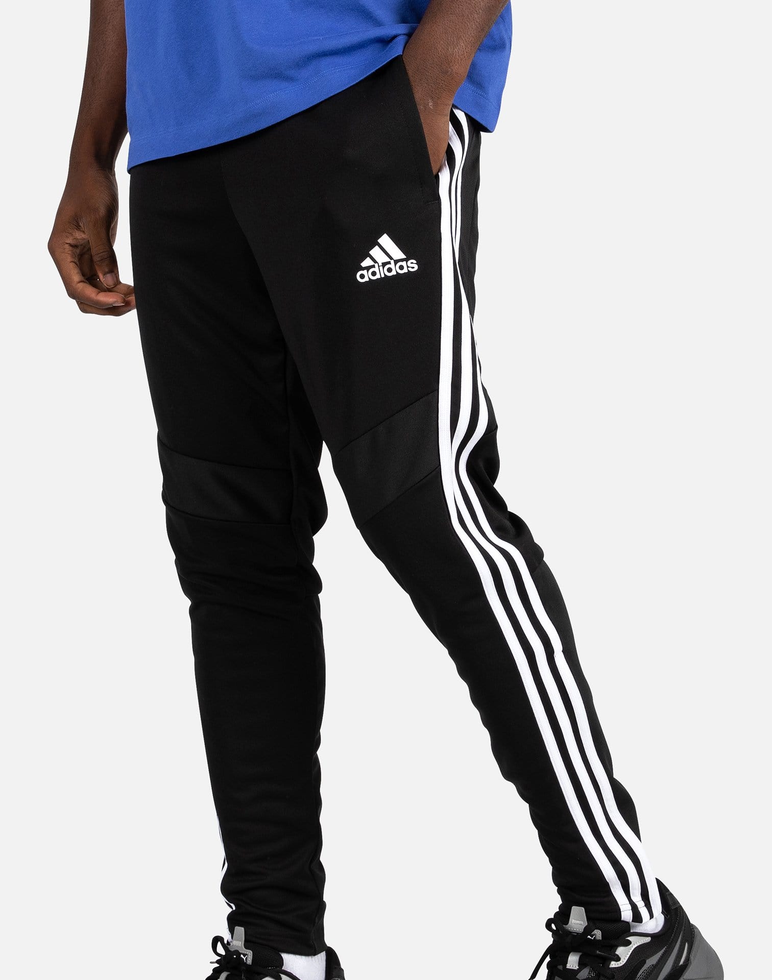 dtlr.com is where to buy