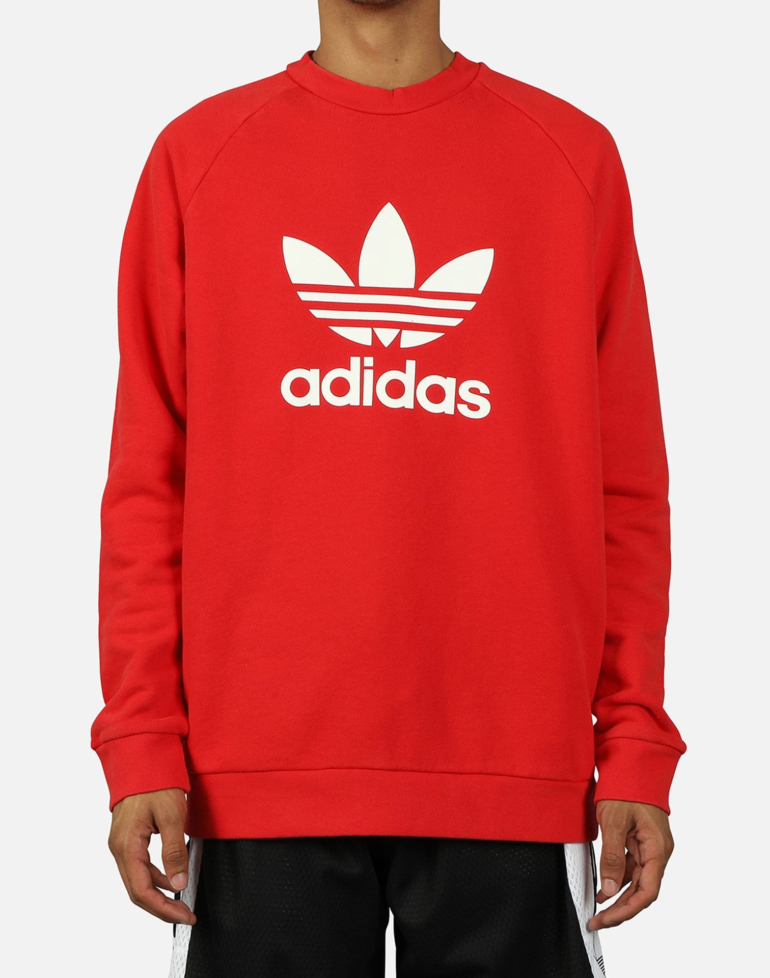 adidas Men's Trefoil Warm-Up Sweatshirt