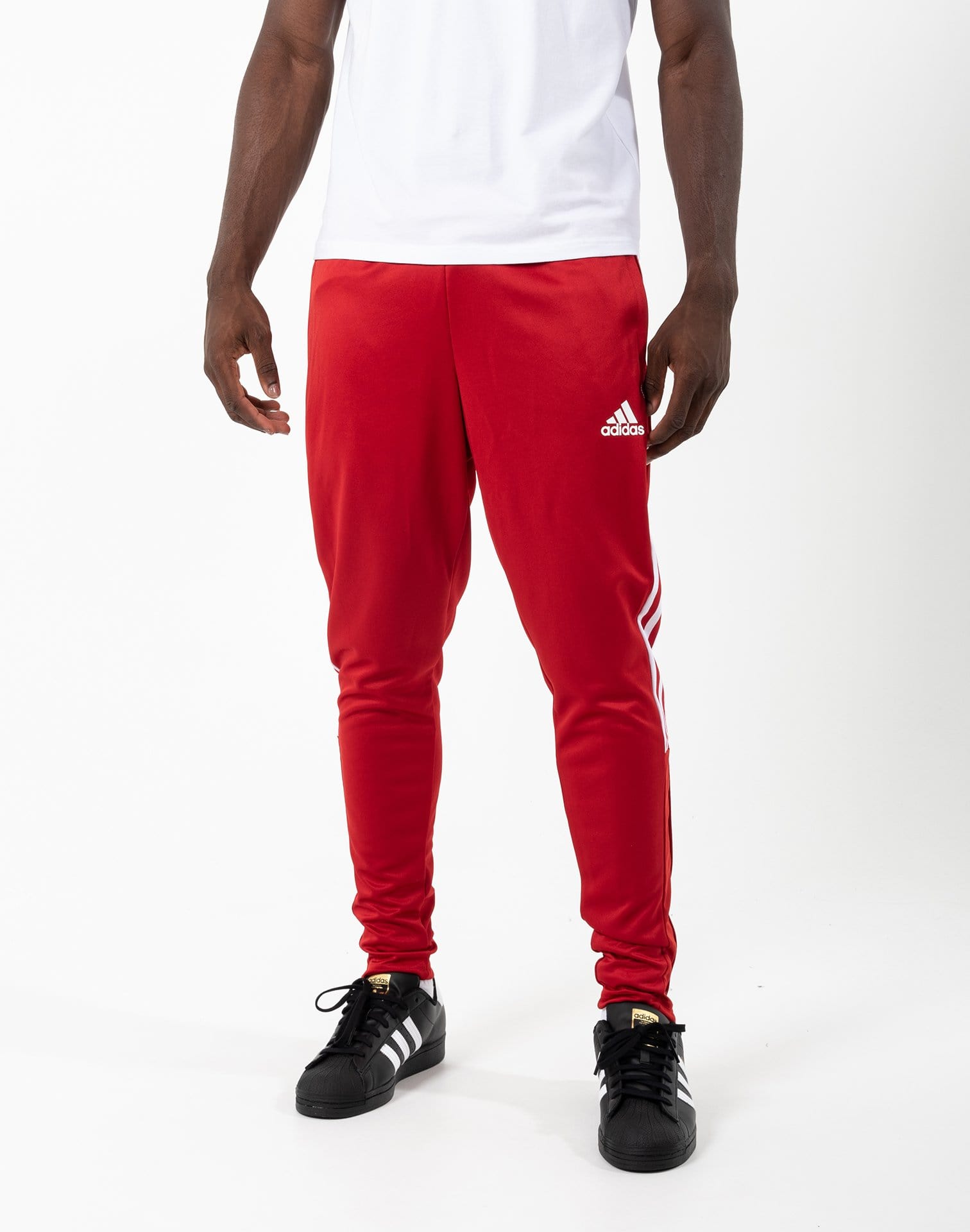dtlr.com is where to buy