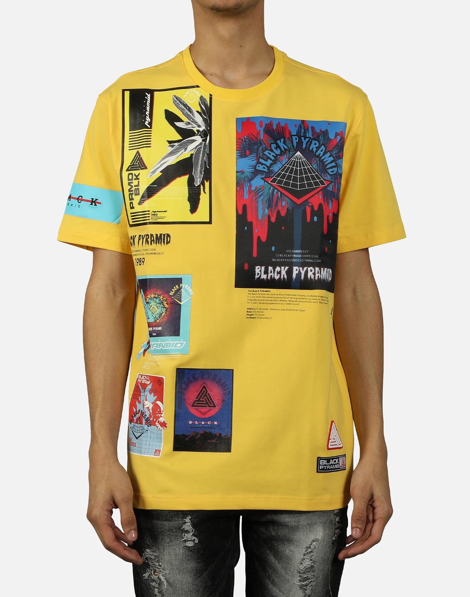 dtlr.com is where to buy