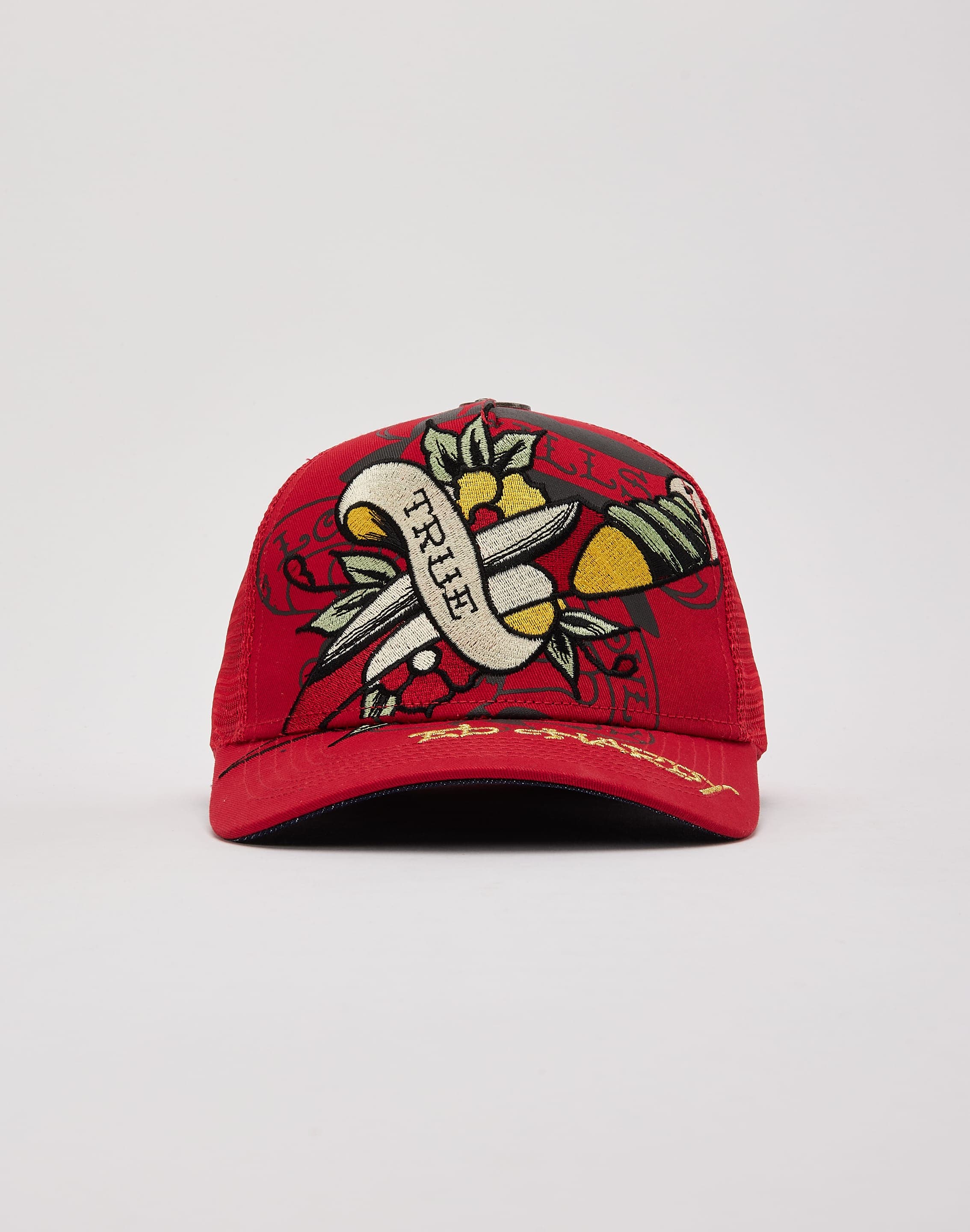 dtlr.com is where to buy