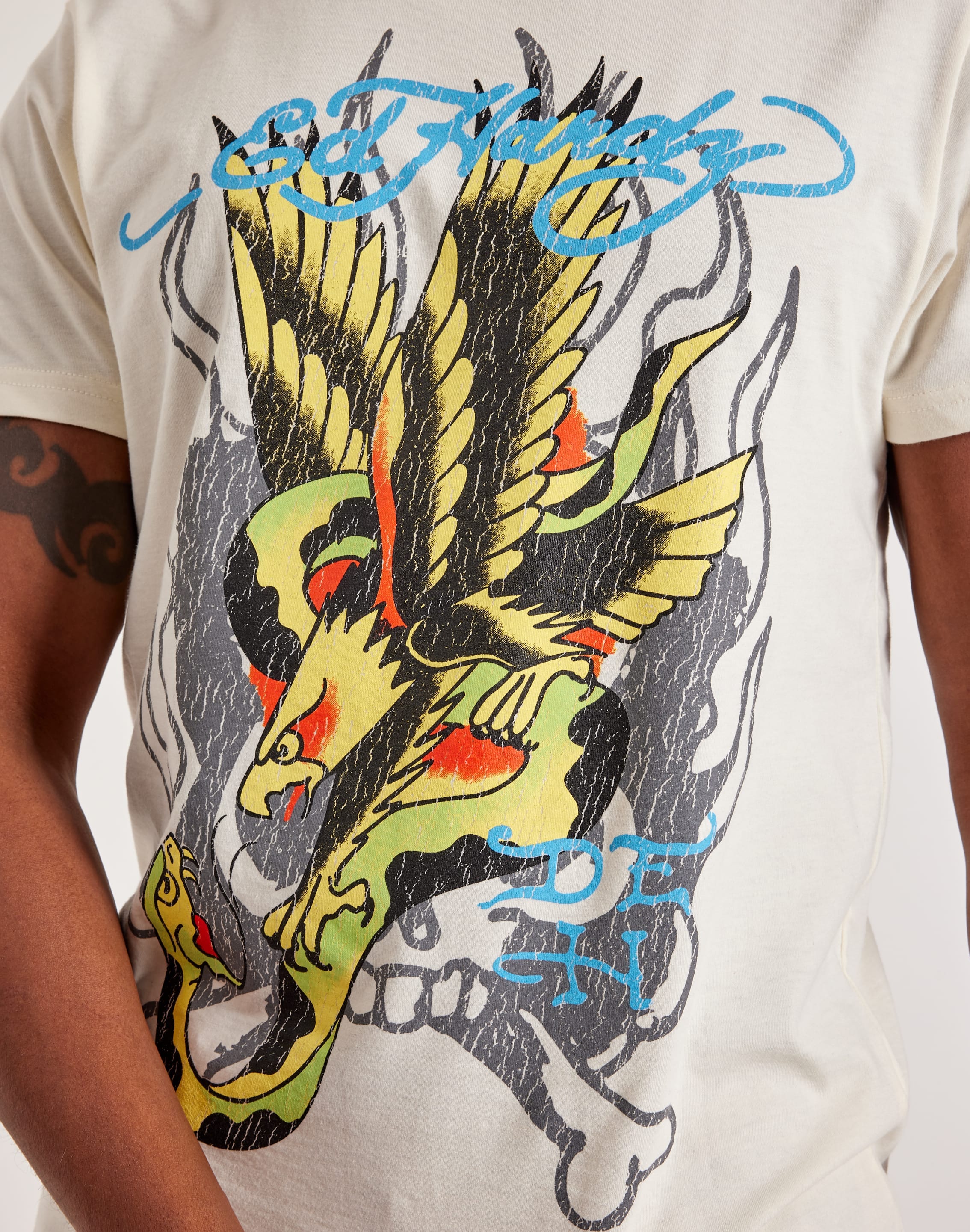 dtlr.com is where to buy