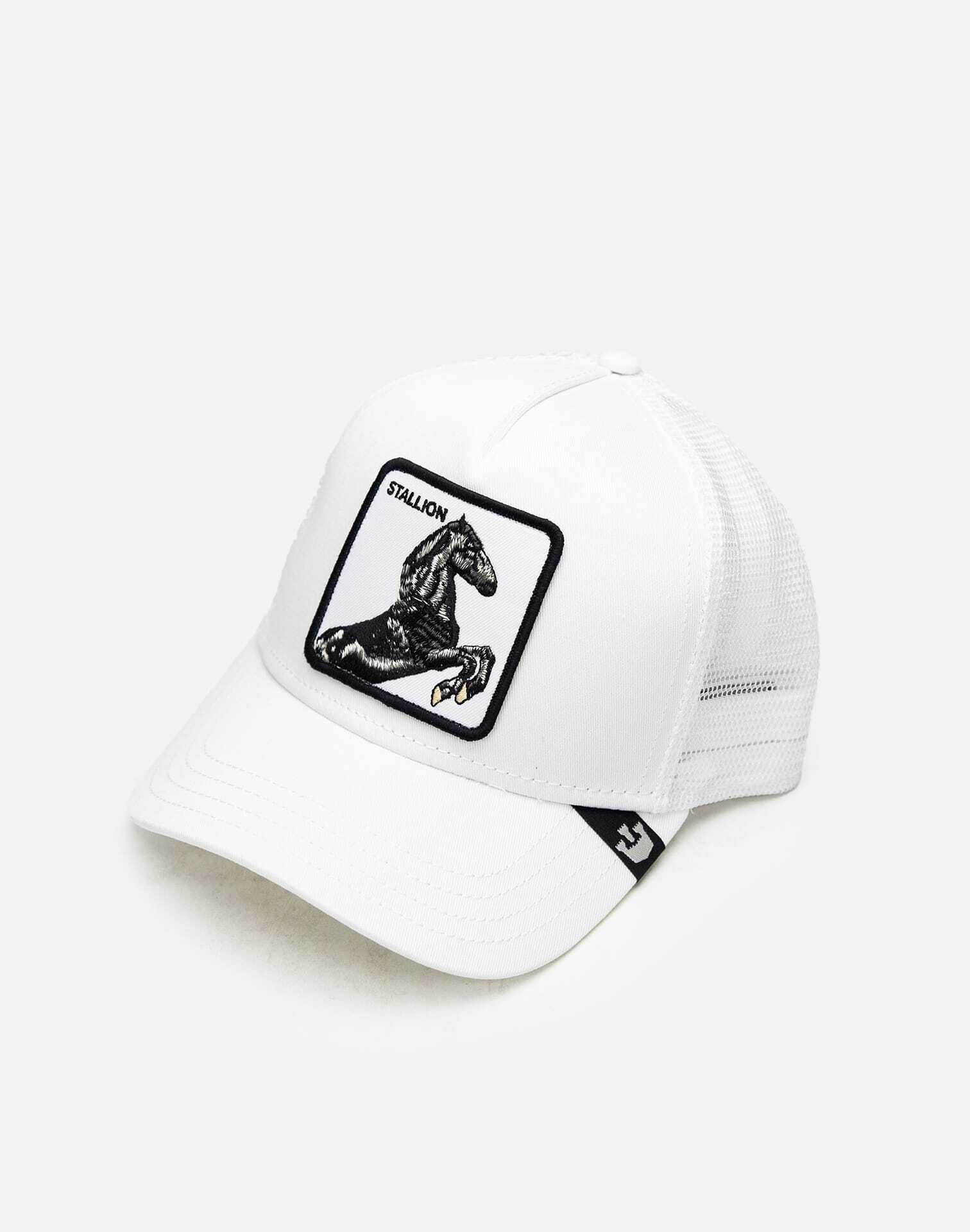 dtlr.com is where to buy