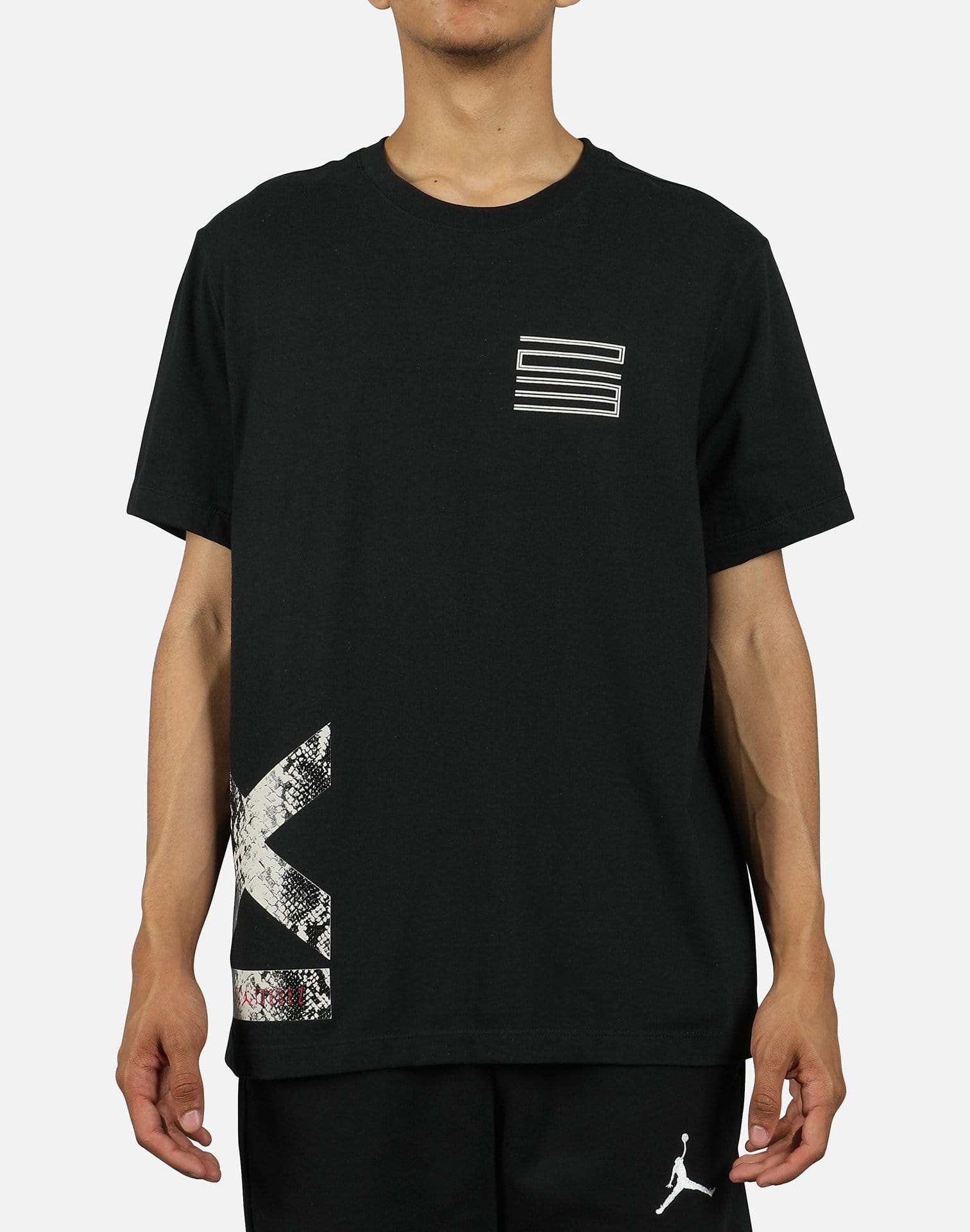 Jordan Men's Air Jordan Retro 11 'Snakeskin' Tee