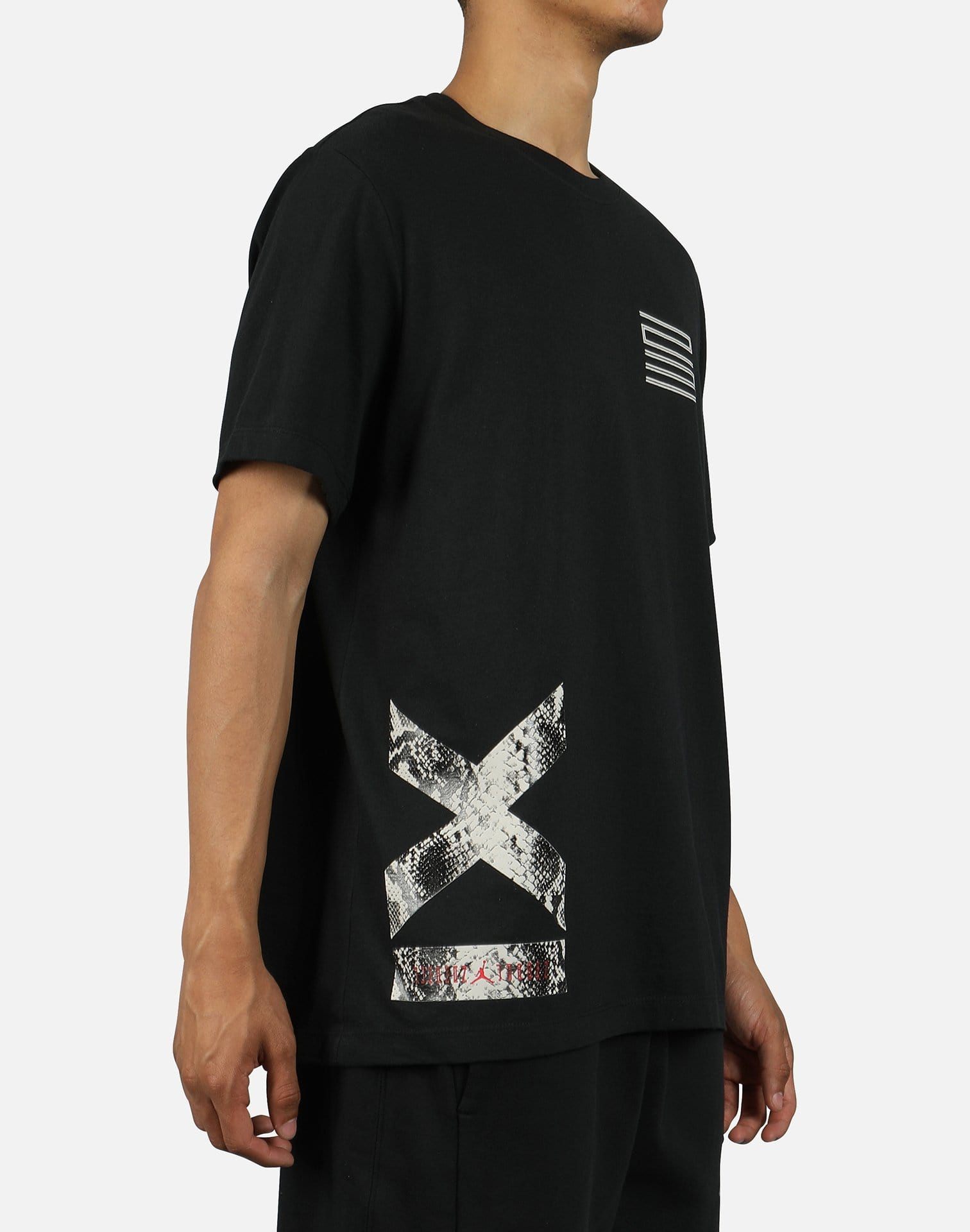 Jordan Men's Air Jordan Retro 11 'Snakeskin' Tee