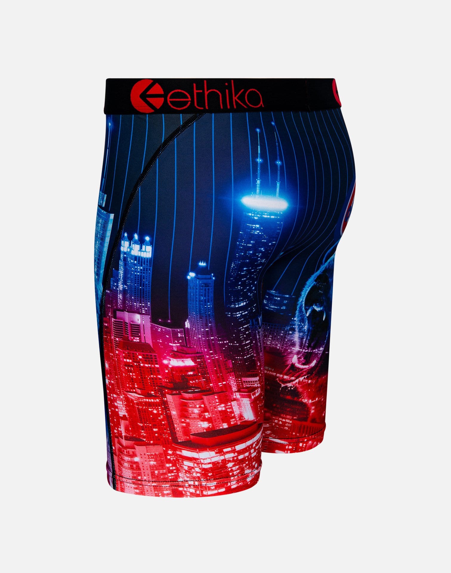 Ethika Men's Chaz Steeze Ortiz Boxer Briefs