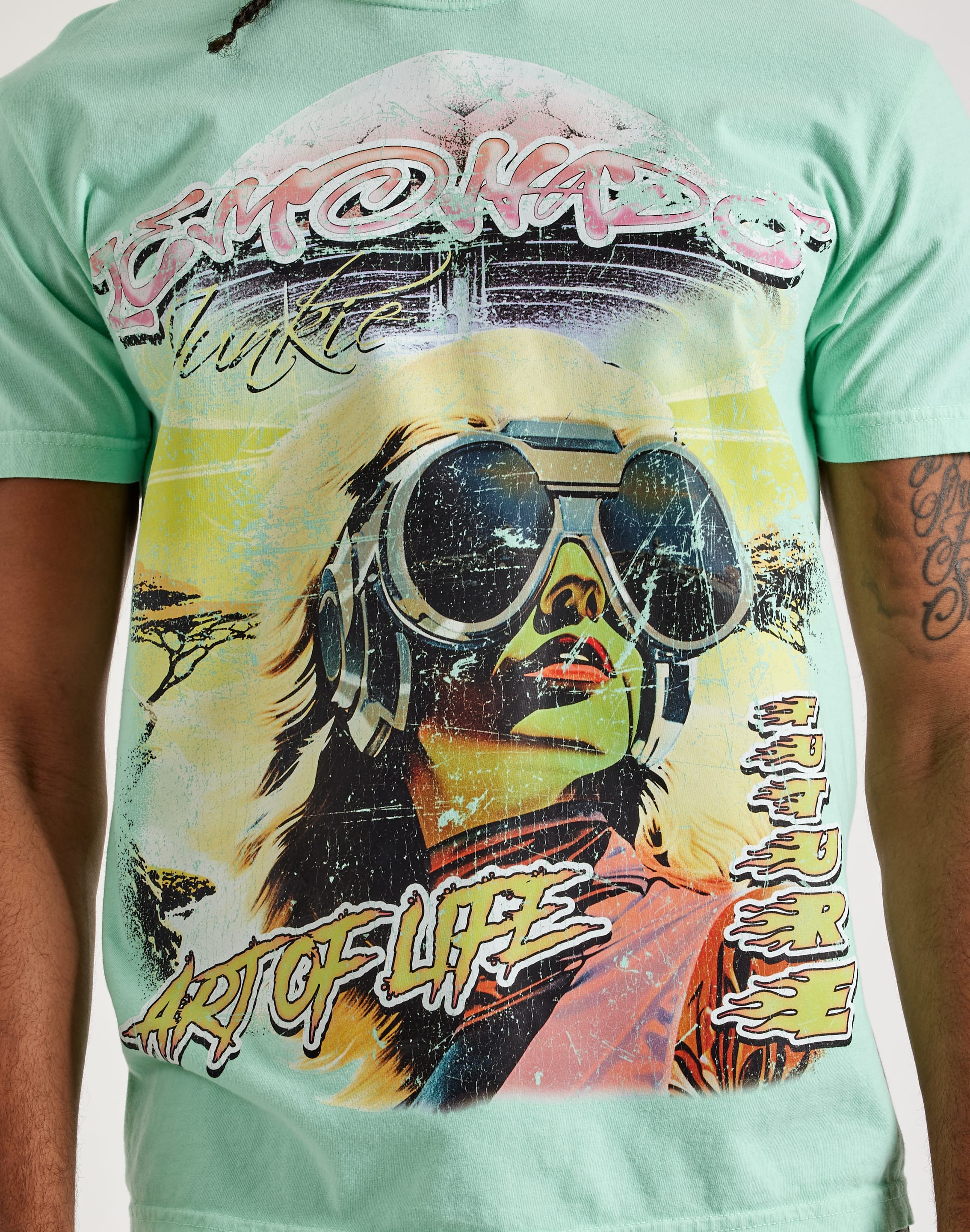 dtlr.com is where to buy