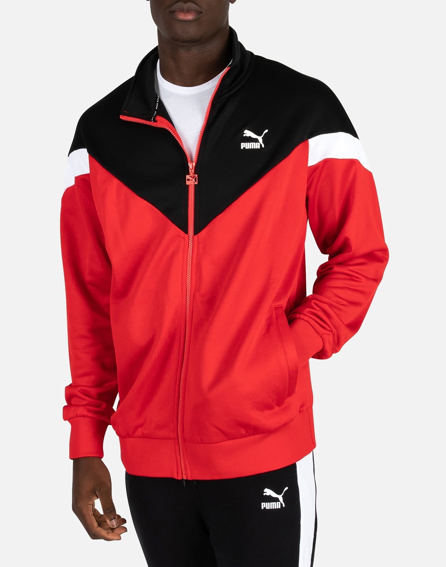 dtlr.com is where to buy