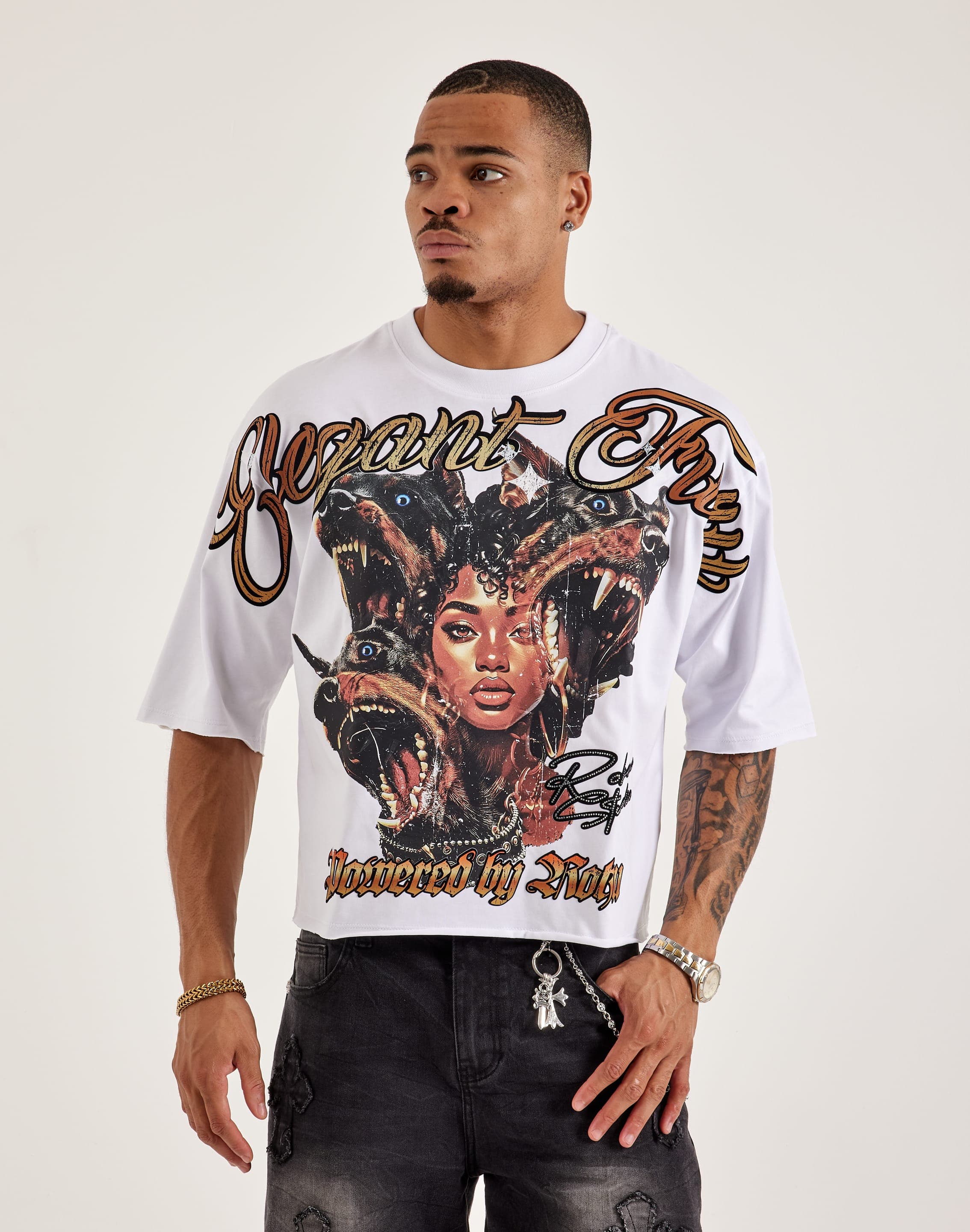 dtlr.com is where to buy