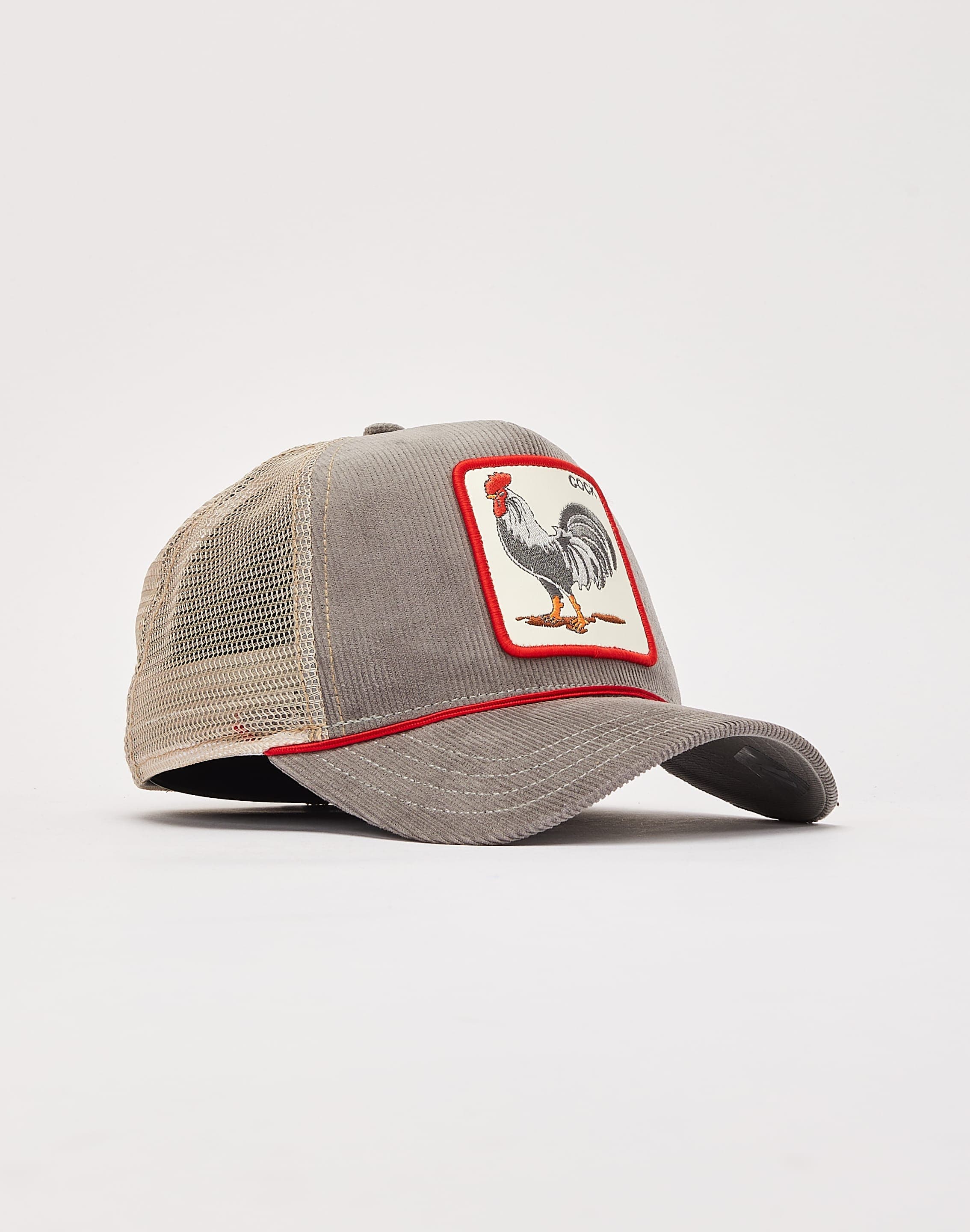 dtlr.com is where to buy
