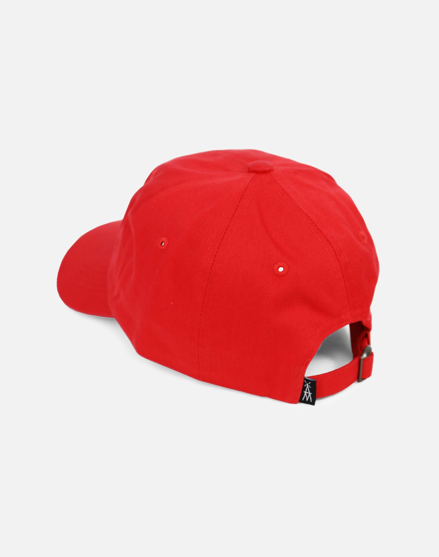 Any Memes 2Pac 'Changes' Dad Hat (Red)