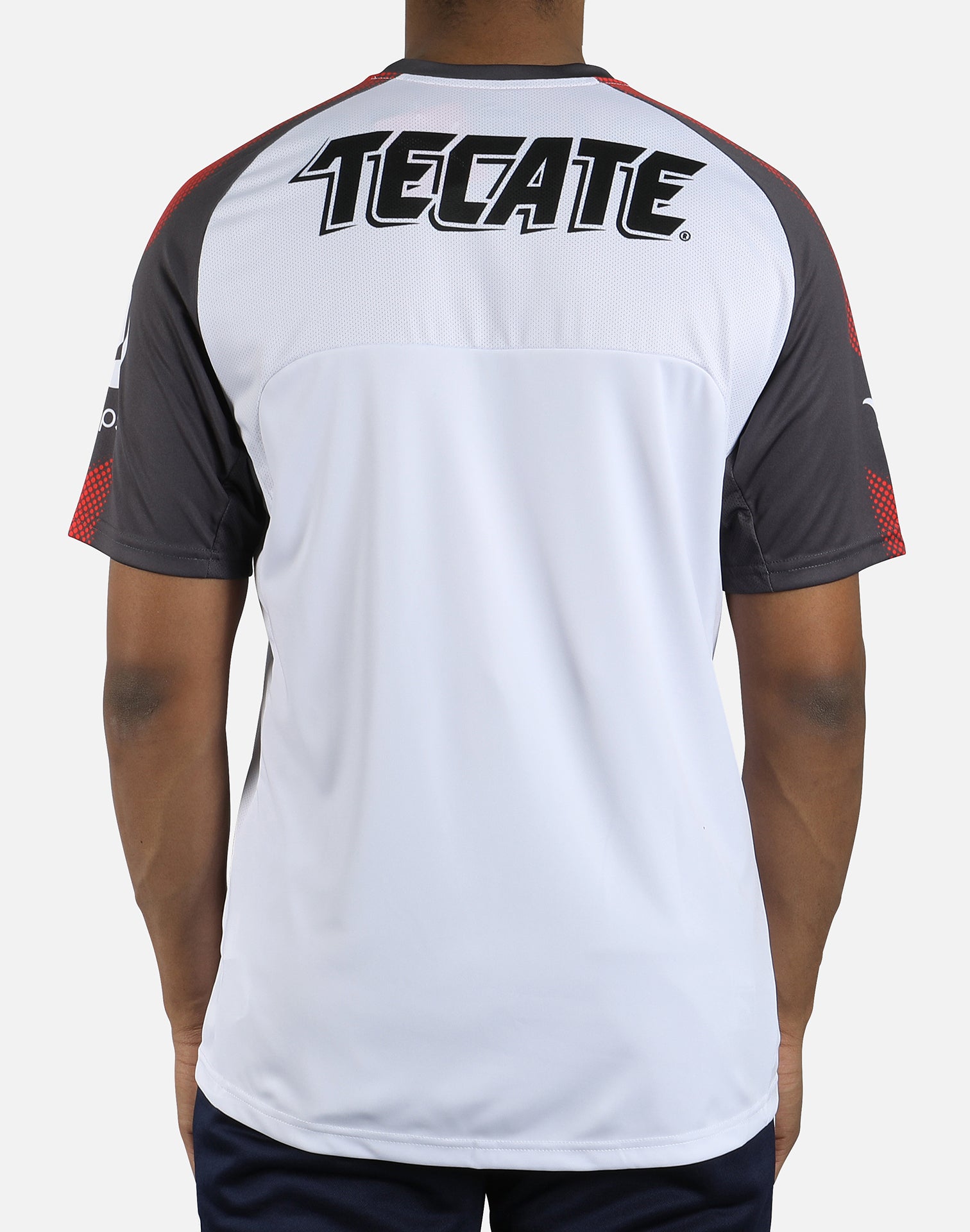 PUMA Men's Chivas Training Jersey